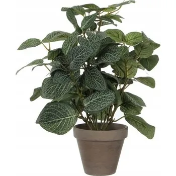 umělá květina Umělá květina v květináči dekorativní Pilea 35cm 1 Ks