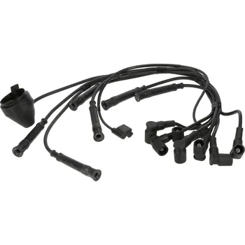 Zapalovací kabel Sada kabelů pro zapalování BorgWarner (BERU) ZE755