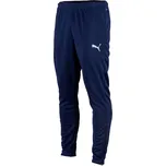 Kalhoty Puma teamRISE Poly Training Pants 65739006 Velikost XL