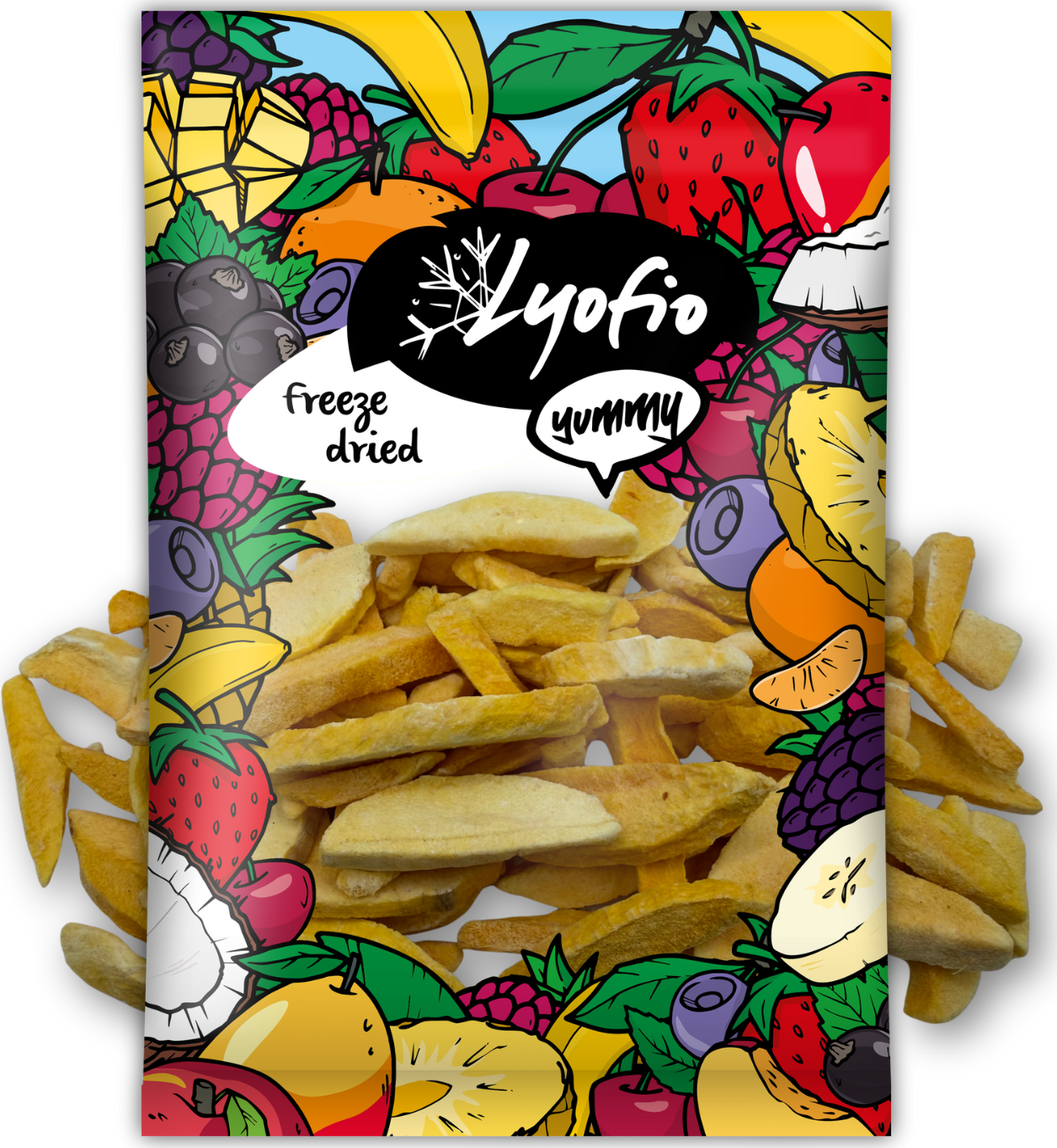 Lyofio.cz - Mrazem sušené mango plátky 100 g