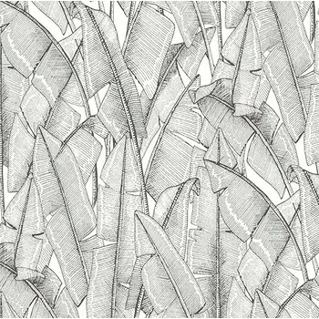 Fototapeta Tapeta na zeď bílá s černými velkými listy, rostlinný motiv na vliesu