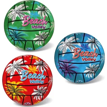 Dětský míč Beach Volejbalový Míč Palm