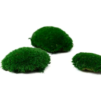 umělá květina Stabilizovaný kopečkový mech mix - jablkový Bednička: 0,16 m²