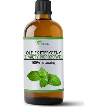 Vůně do bytu Esenciální mátový olej 100ml - VitaFarm