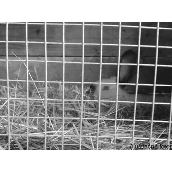 chovatelské pletivo Sv. chov. plet. 4H, 100 cm, oko 13x13 mm, drát 0,80 mm, 10 m, žárové pozinkování