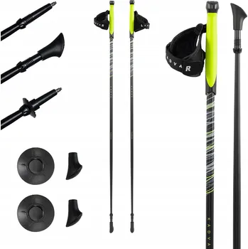 Nordic walkingová hůl Hole na nordic walking KADVA Raylan šedé 130 cm Lehké Karbon Vlákno sklolaminát