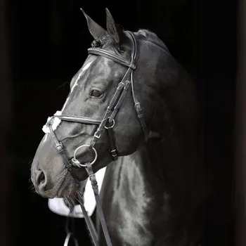 Mexická Ohlávka Covalliero Cancun 3 (plná)