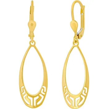 Náušnice Zlaté visací náušnice Ornella ze žlutého zlata FNN33405EGY