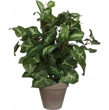 umělá květina Umělá květina v květináči dekorativní Syngonium 35cm 1 Ks