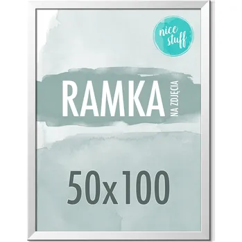 Rám na obraz RÁMEČEK 50x100 RÁMEČEK NA FOTKY 100x50 Rámy na fotky STŘÍBRNÁ STŘÍBRNÉ