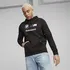 Pánská mikina PUMA BMW M Motorsport Essentials Fleece Hoodie 538142-01