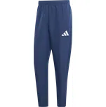 Kalhoty adidas Entrada 26 Presentation jz9126 Velikost L