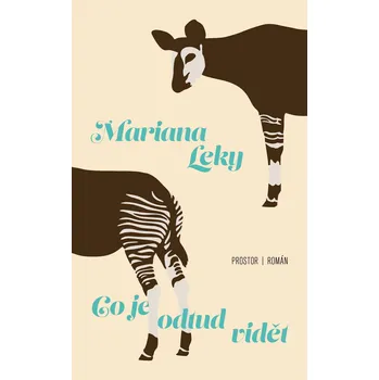 Co je odtud vidět Ekniha