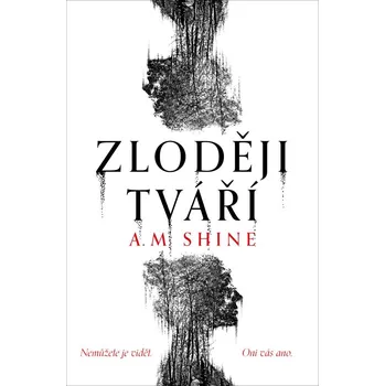 Beletrie pro dospělé Zloději tváří Kniha