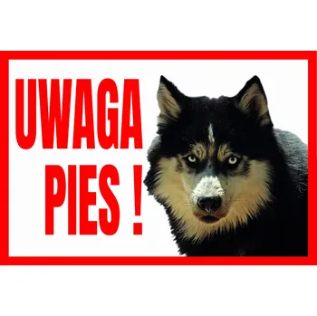 Tup-5 Výstražná tabulka Pozor pes Husky