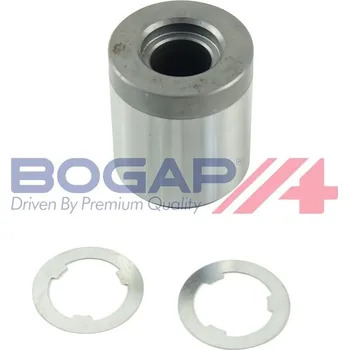 Kliková hřídel Kroužek, klikový hřídel BOGAP A1119101