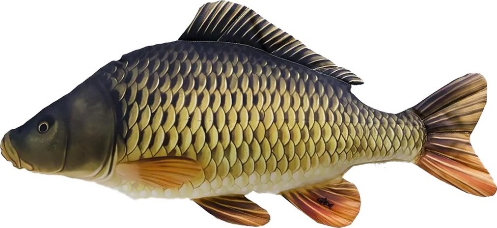 Kapr šupik polštář 64cm