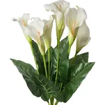 Clayre & Eef 6PL0354 kala 60 cm bílá