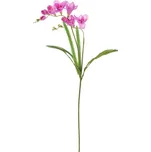 Autronic Frézie řezaná 60 cm