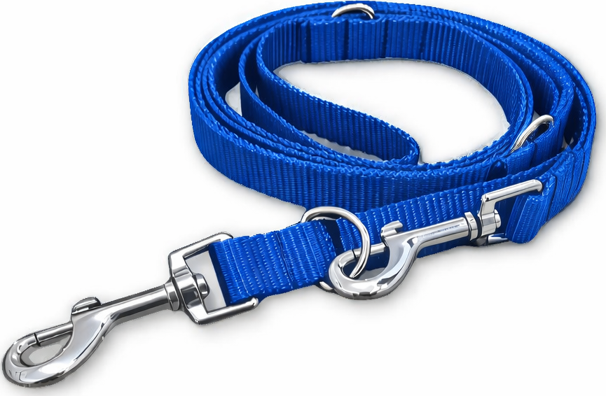 Přepínací vodítko Basic - Modrá Šířka: 2 cm, Délka: 2,5 m, Karabina: 76 mm - chrom - střední pes