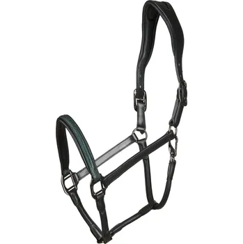 Catago Ohlávka Arrow CATAGO, černá COB