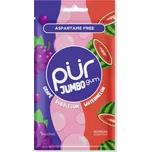 The Pur Company Pur Jumbo Gum 20 ks