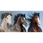 Dětská froté osuška 70 x 140 cm Divocí…