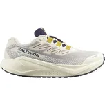 Salomon Aero Blaze 3 GRVL GTX L47953200