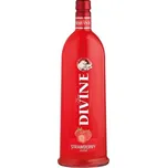 Divine Vodka Strawberry 16,6 % 0,5 l