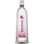 Divine Vodka Feige 18 %