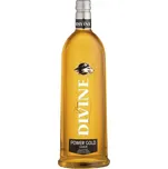 Divine Vodka Power Gold 16,6 %