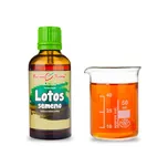 Bylinné kapky s.r.o. Lotos semena 50 ml