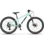 BEANY Blaster 24" 2025