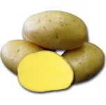 Sadbové brambory Dali žluté rané 20 ks