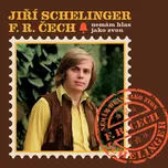 Nemám hlas jako zvon - Jiří Schelinger