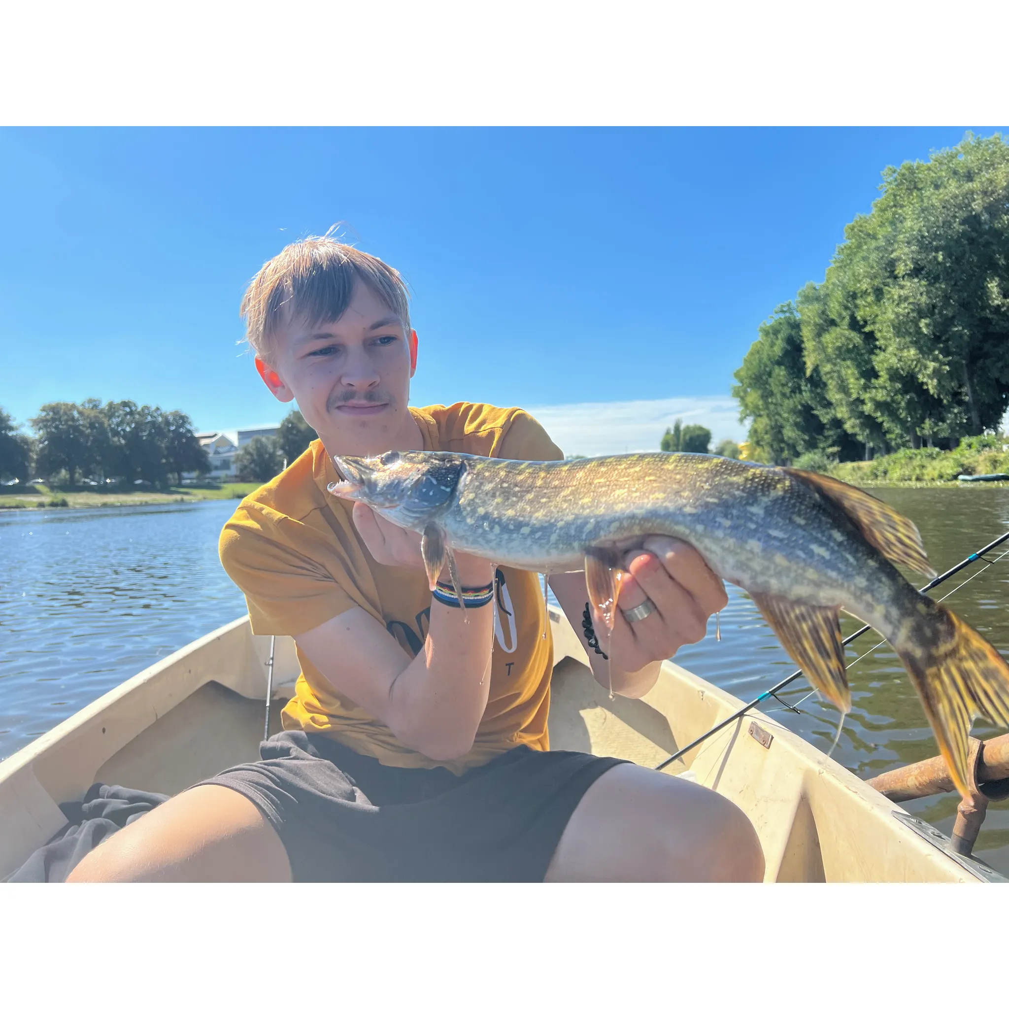 Fotografie 3 - Umělá nástraha Savage Gear Cannibal Shad 8 cm 5 g Green Pearl Yellow