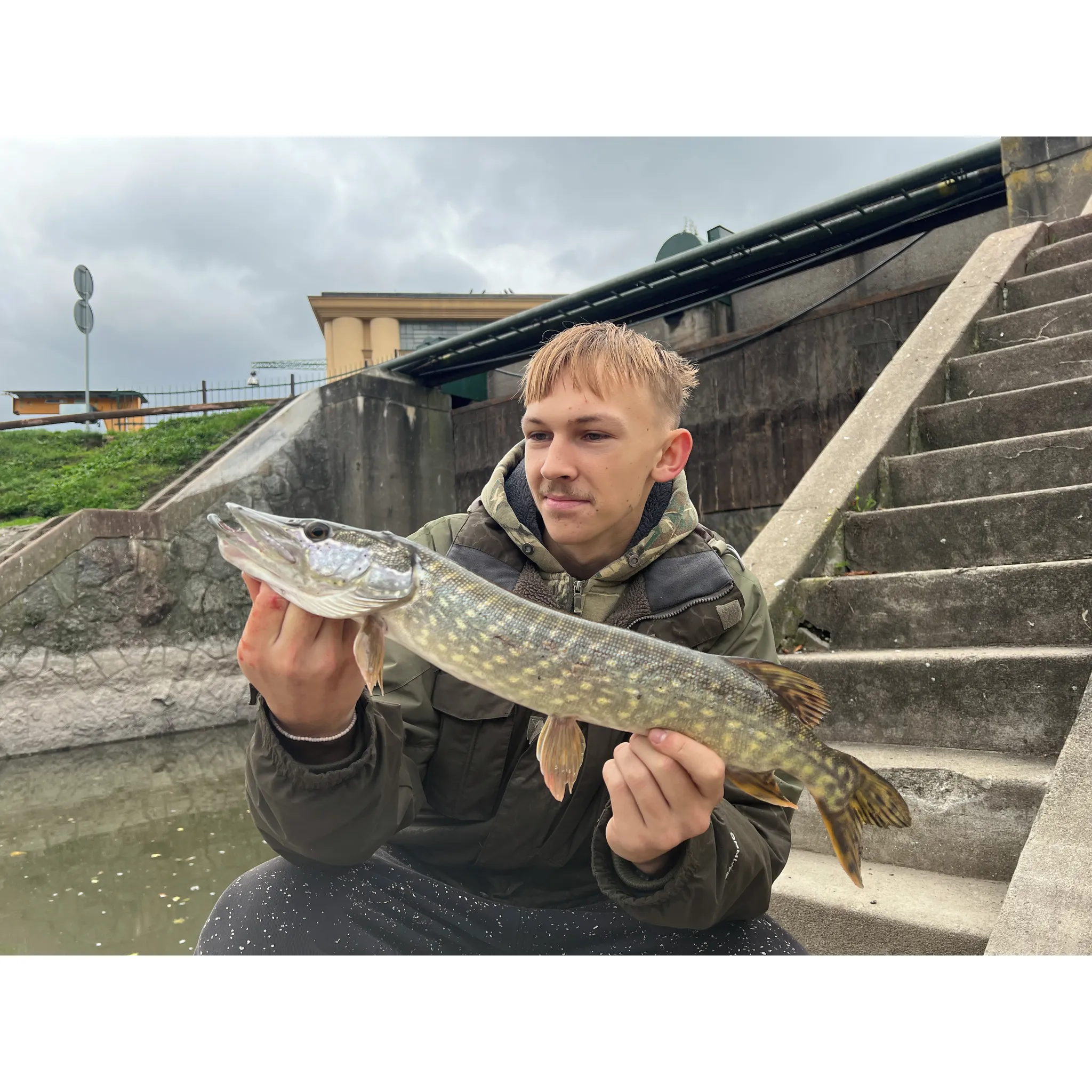 Fotografie 4 - Umělá nástraha Savage Gear Cannibal Shad 8 cm 5 g Green Pearl Yellow