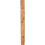 Atmowood Modřínová plotovka rovná…