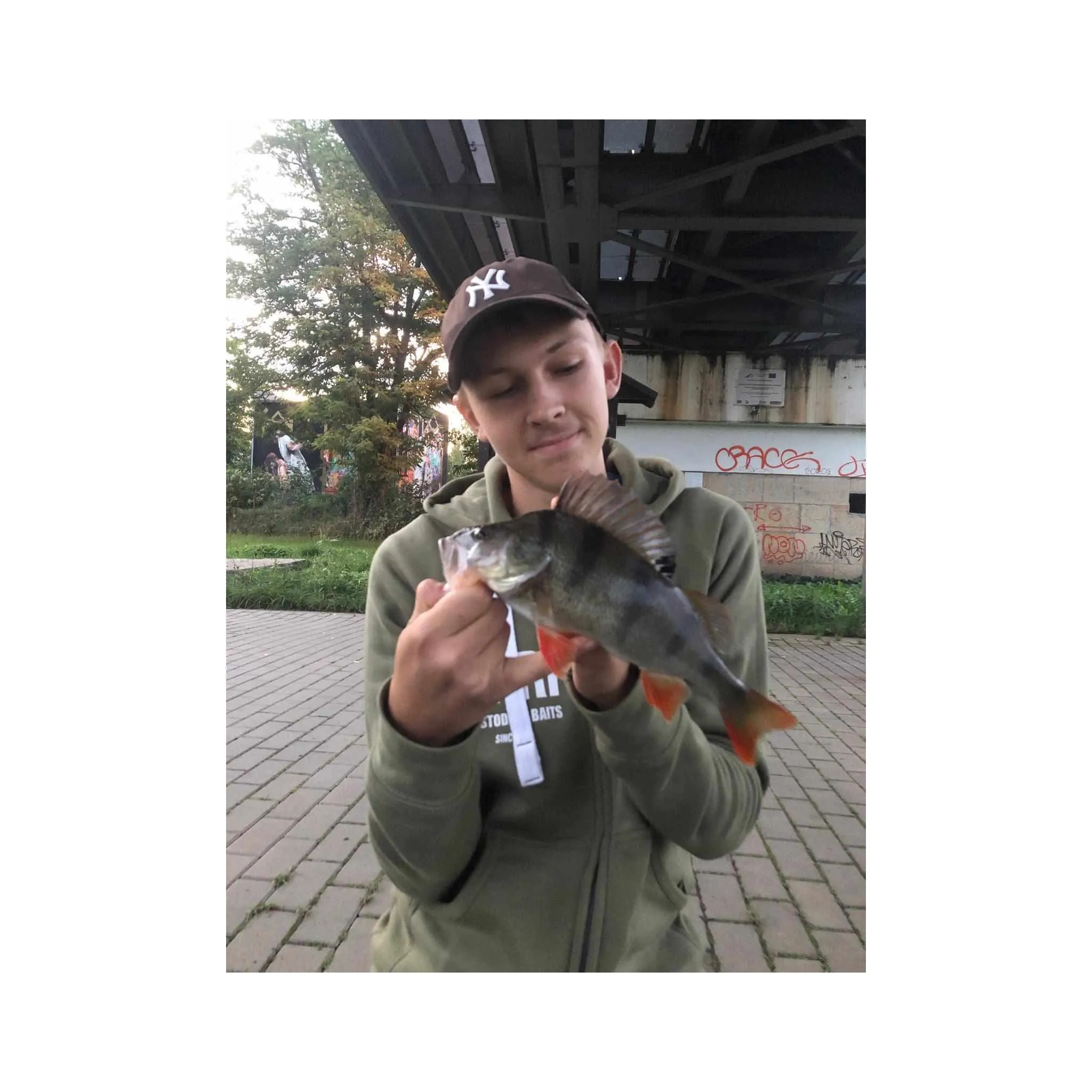 Fotografie 2 - Umělá nástraha Savage Gear Cannibal Shad 8 cm 5 g Green Pearl Yellow