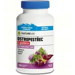 NatureVia Ostropestřec LipoAktiv 120…