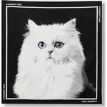 Karl Lagerfeld Ikon B1W33034 černý