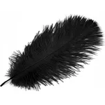 Stoklasa Pštrosí peří 20-25 cm 2 ks