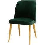 BRADOP Jídelní židle dubová celočalouněná LEA Z222: 135 Monolith — hnědá