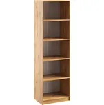 CASARREDO Kancelářská knihovna OFFICE KIT 65×210 dub apalačský: Dub Apalačský — hnědá, Dub Apalačský