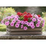 AMADEA Dřevěný obal na truhlík tmavý, 62x21,5x17cm Český výrobek