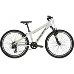 Kross Dust Jr 1.0 24" 2025 šedé/černé