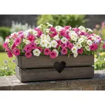 AMADEA Dřevěný obal na truhlík se srdcem tmavý, 52x21,5x17cm Český výrobek 108034769