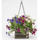 AMADEA Dřevěný závěsný obal na květináč tmavý, 27x27x21 cm, český výrobek