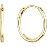 EVOLUTION GROUP CZ Pozlacené stříbrné náušnice kruhy 15mm - 61001