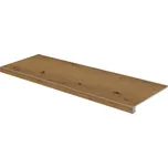 RAKO Bricola Cognac 30 x 120 cm 1 m2…